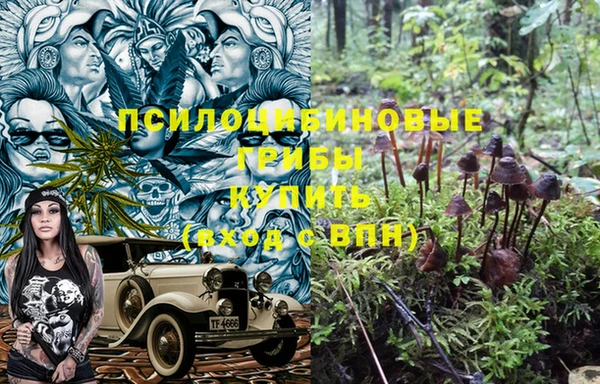 спиды Белокуриха